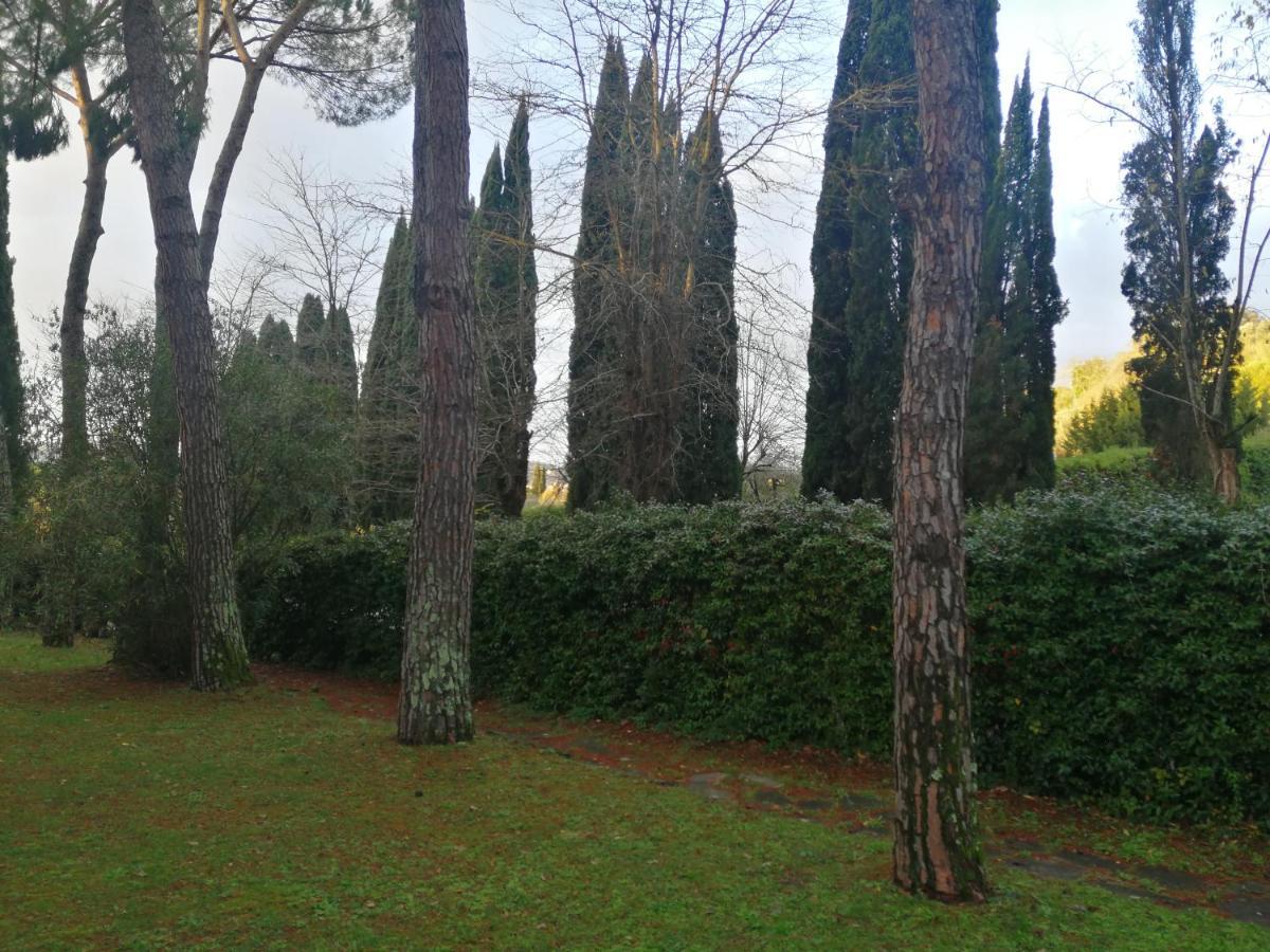 Due Passi Nel Parco Con Parcheggio Gratuito Apartment Firenze Bagian luar foto